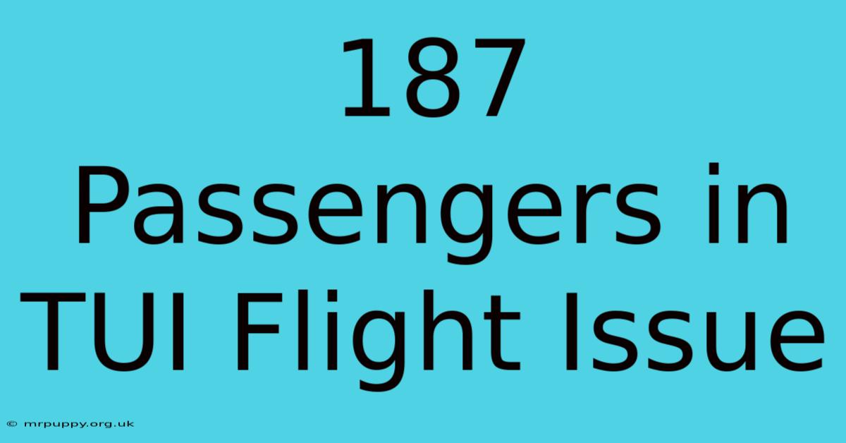 187 Passengers In TUI Flight Issue