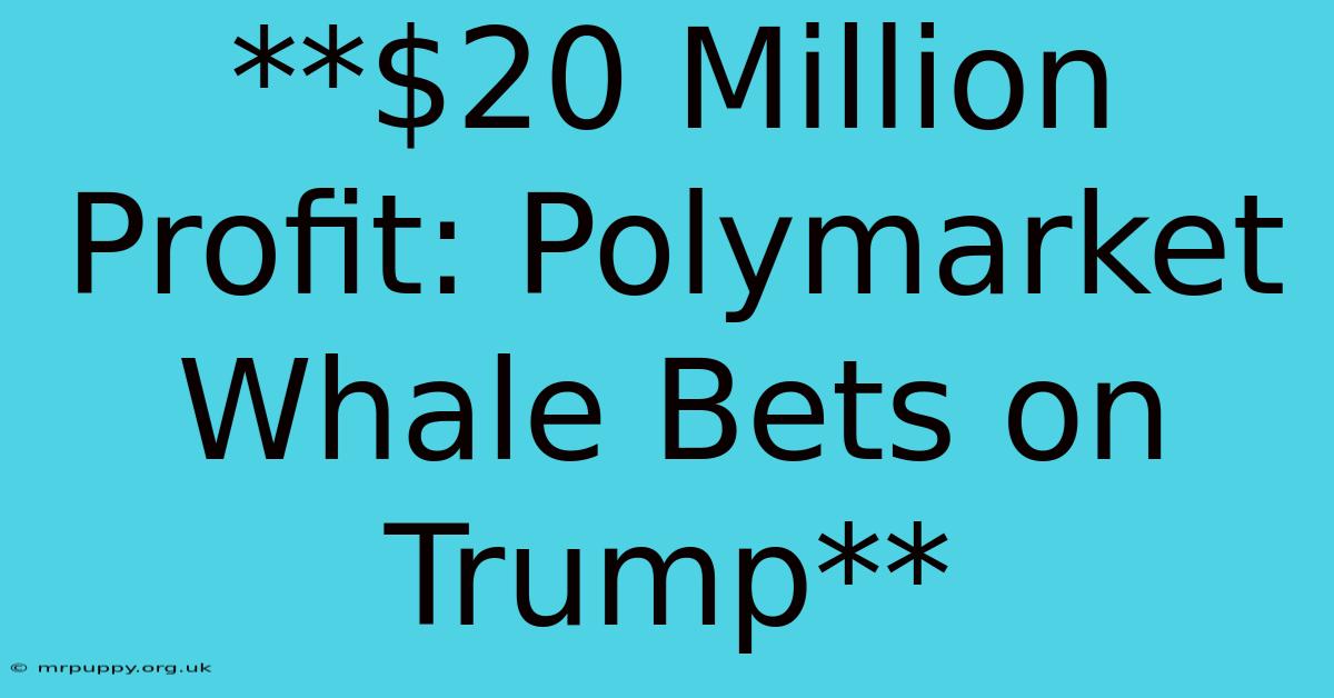 **$20 Million Profit: Polymarket Whale Bets On Trump** 