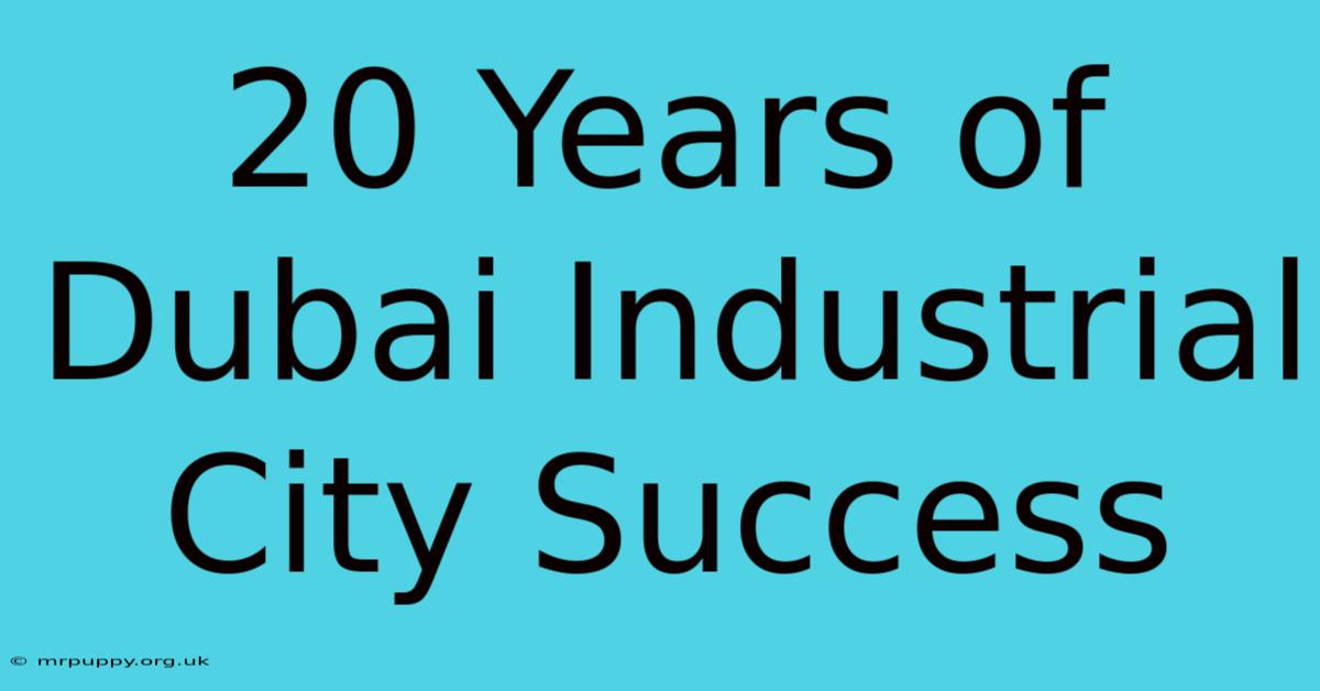 20 Years Of Dubai Industrial City Success