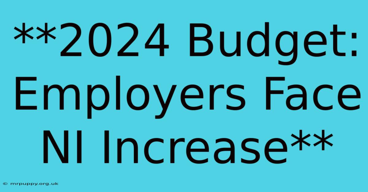 **2024 Budget: Employers Face NI Increase**