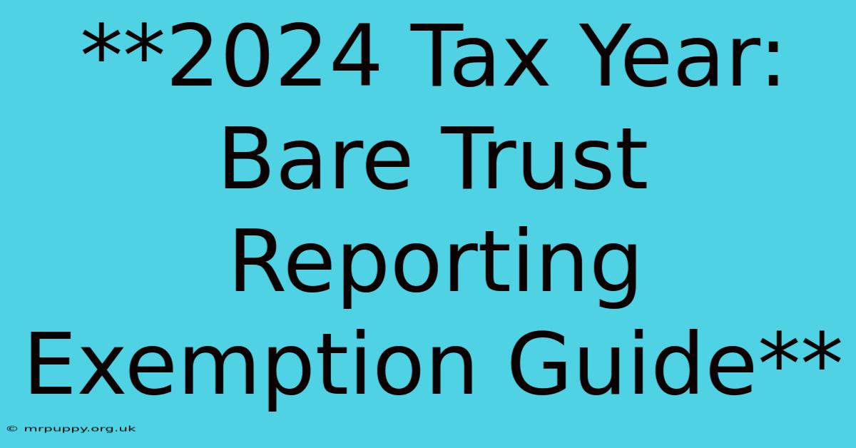 **2024 Tax Year: Bare Trust Reporting Exemption Guide**