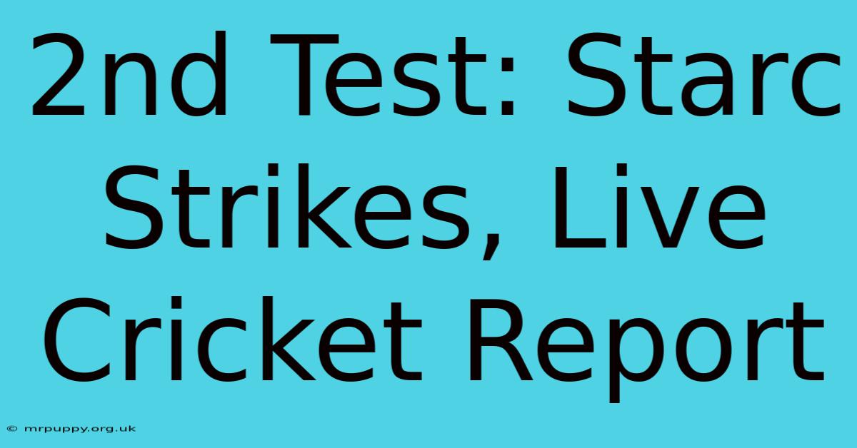 2nd Test: Starc Strikes, Live Cricket Report