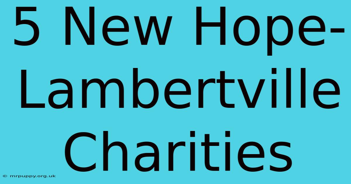 5 New Hope-Lambertville Charities