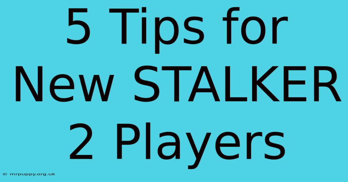 5 Tips For New STALKER 2 Players