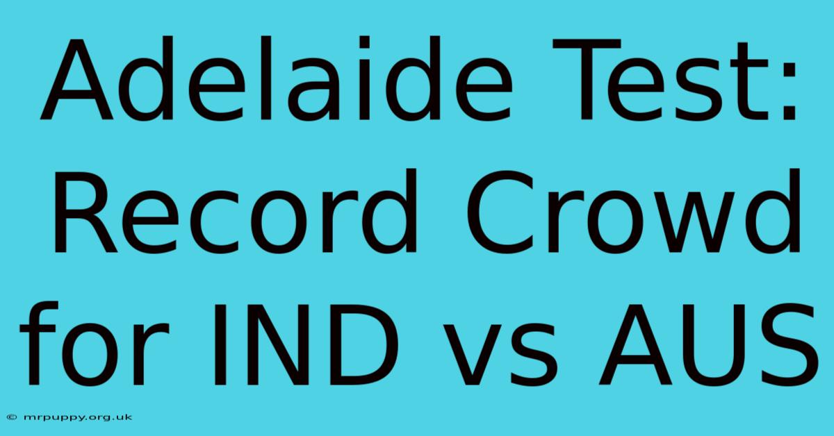 Adelaide Test: Record Crowd For IND Vs AUS