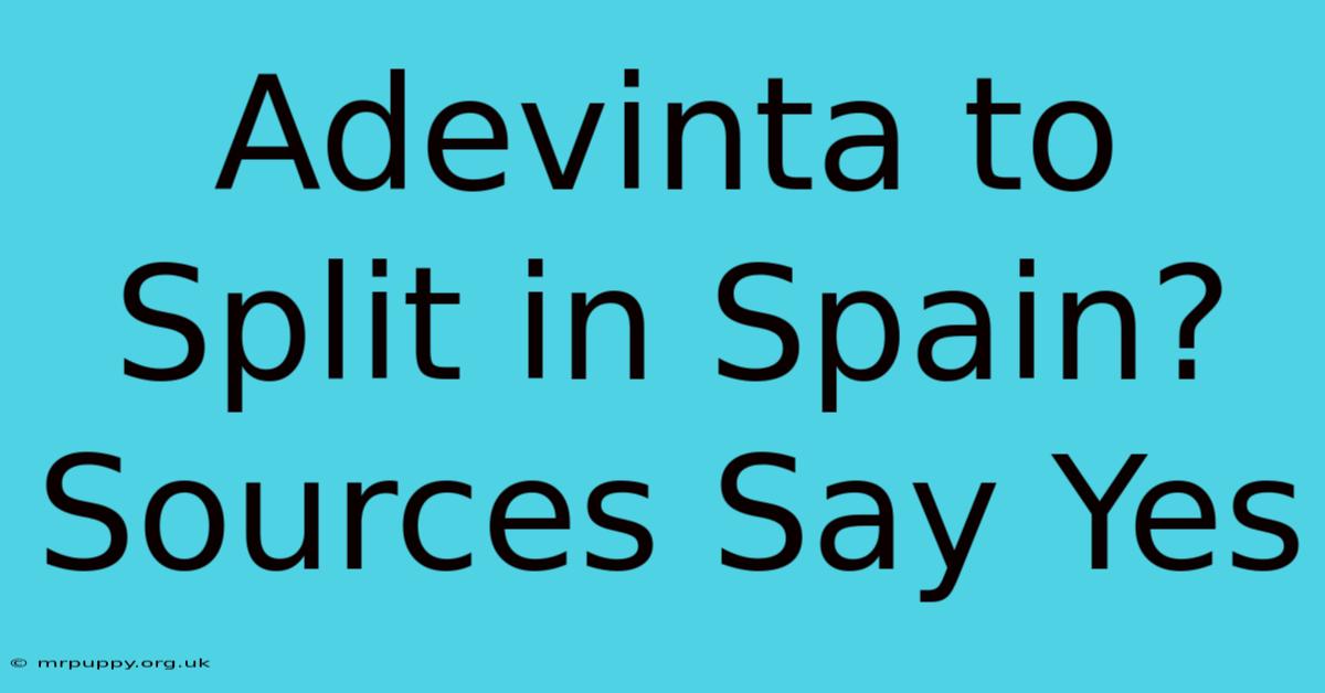 Adevinta To Split In Spain? Sources Say Yes