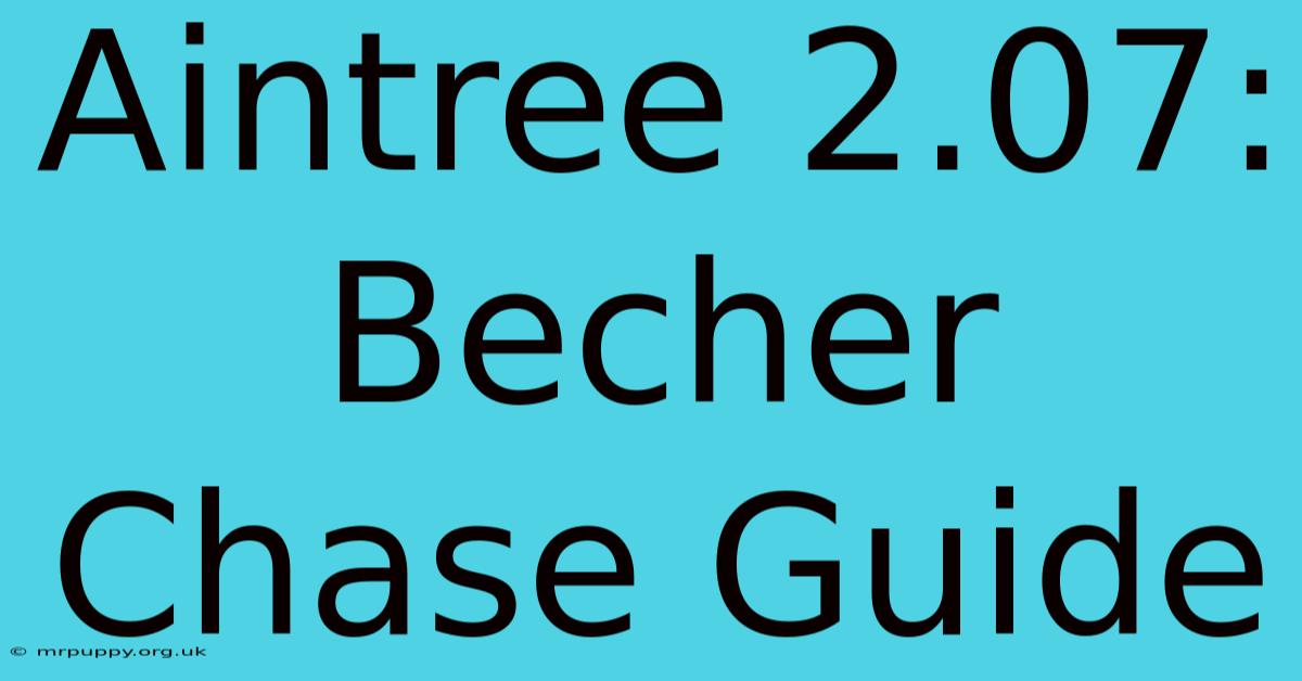 Aintree 2.07: Becher Chase Guide