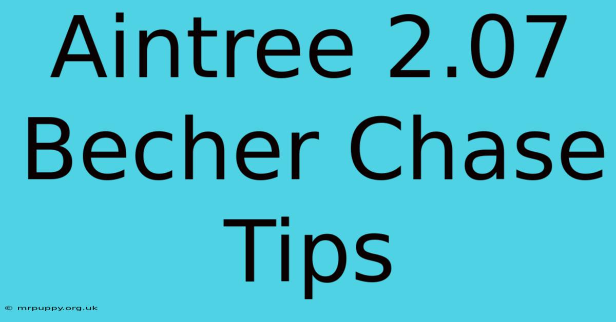 Aintree 2.07 Becher Chase Tips