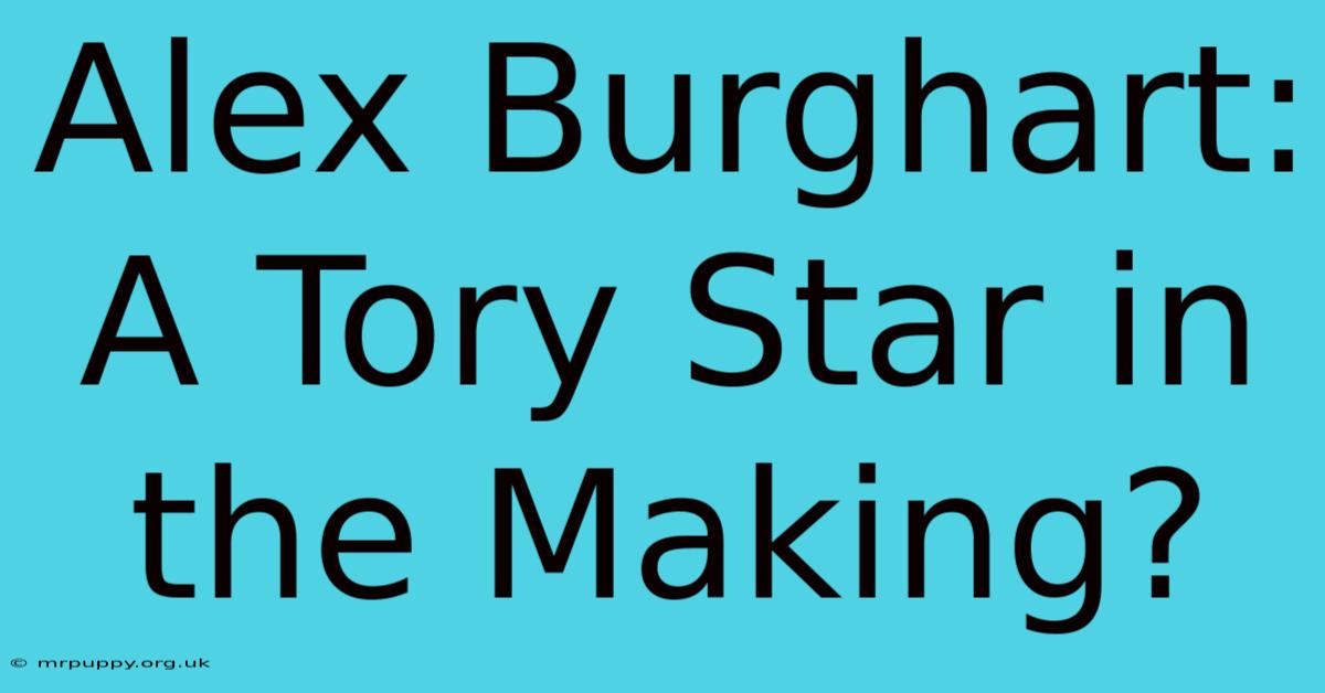 Alex Burghart: A Tory Star In The Making?