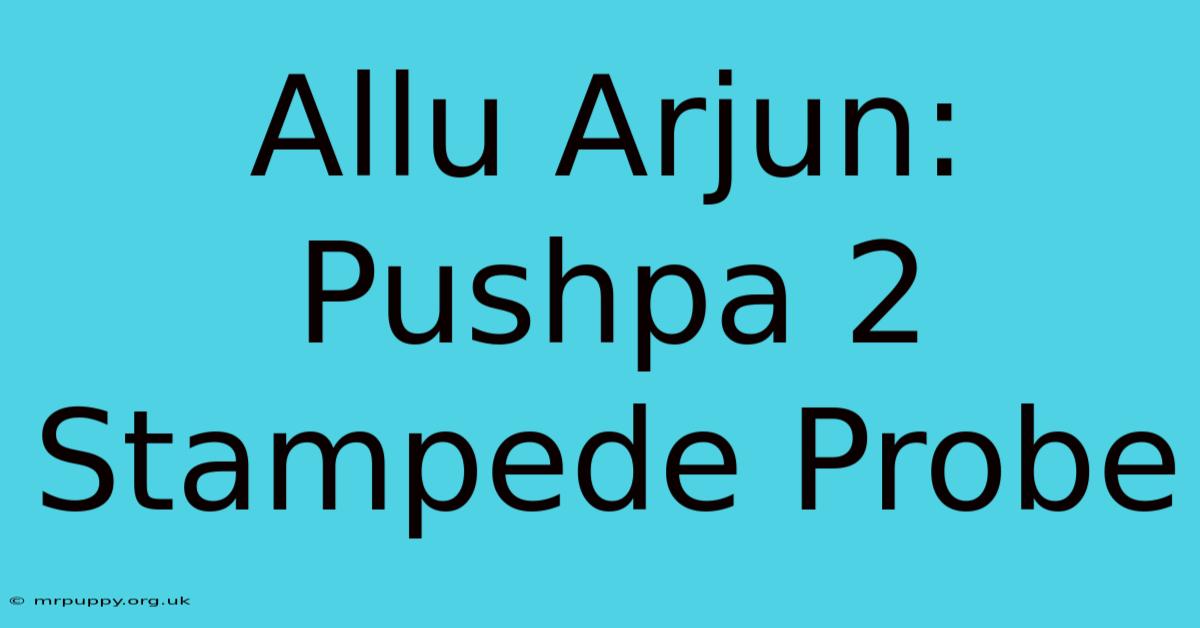 Allu Arjun: Pushpa 2 Stampede Probe