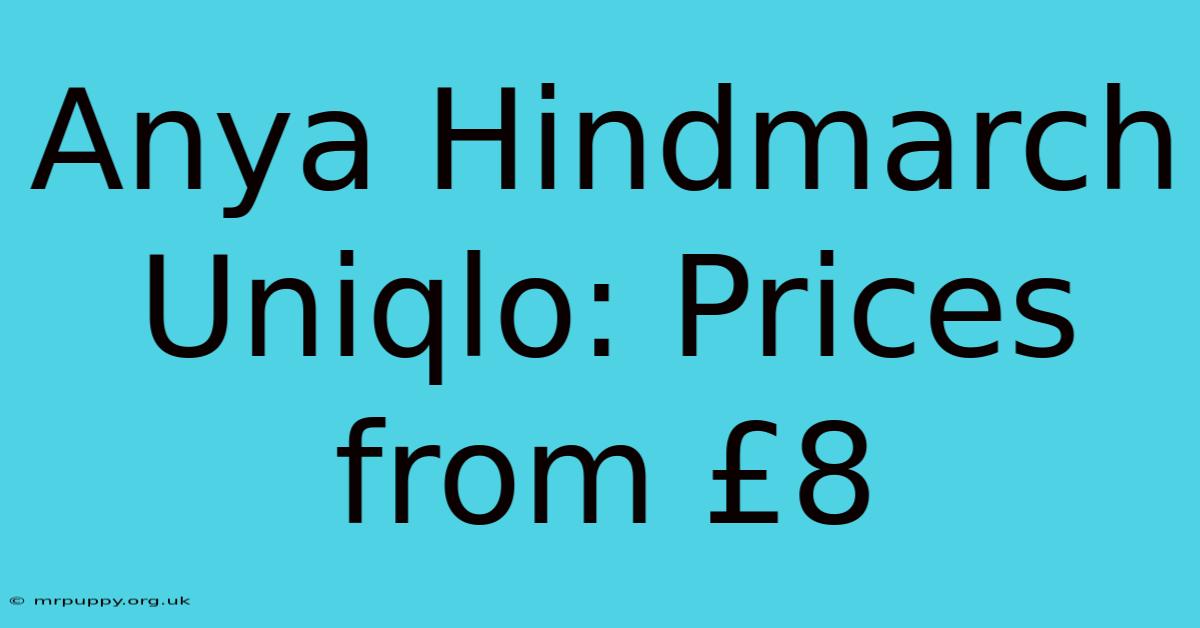 Anya Hindmarch Uniqlo: Prices From £8