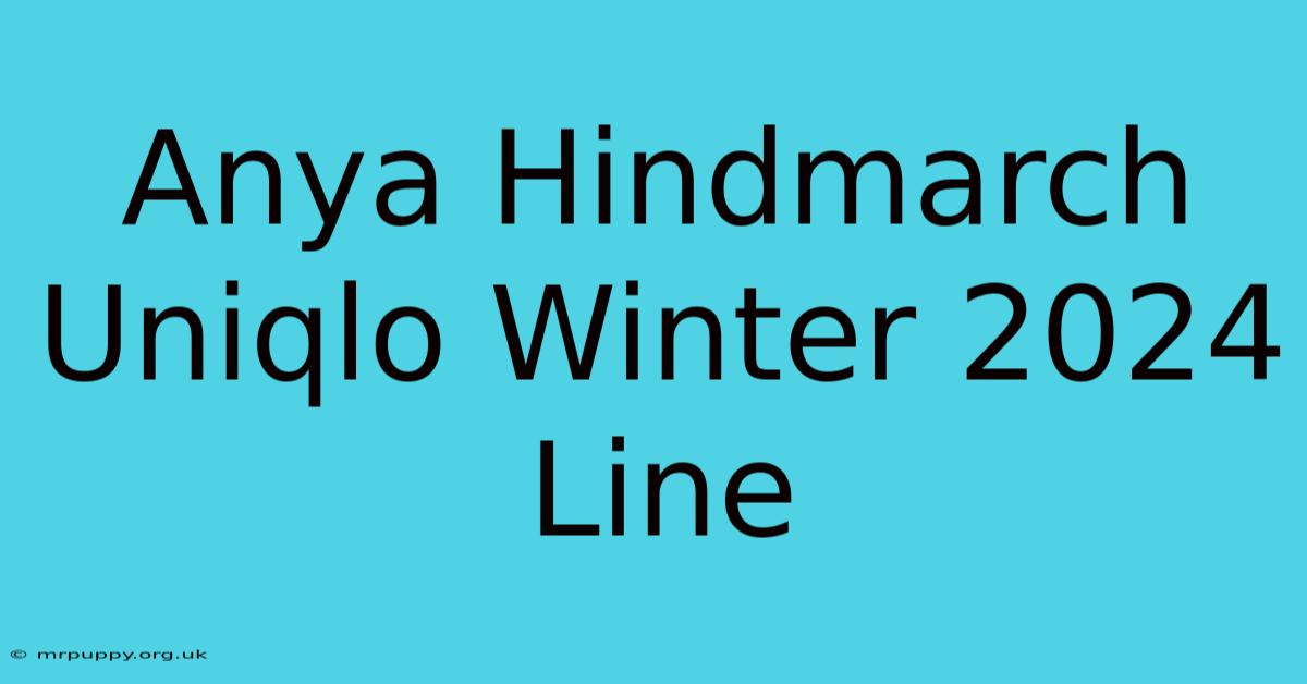 Anya Hindmarch Uniqlo Winter 2024 Line