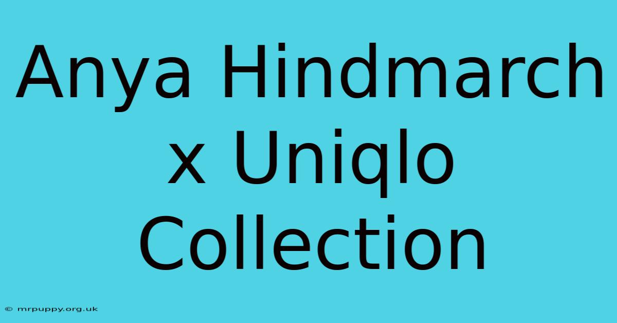 Anya Hindmarch X Uniqlo Collection