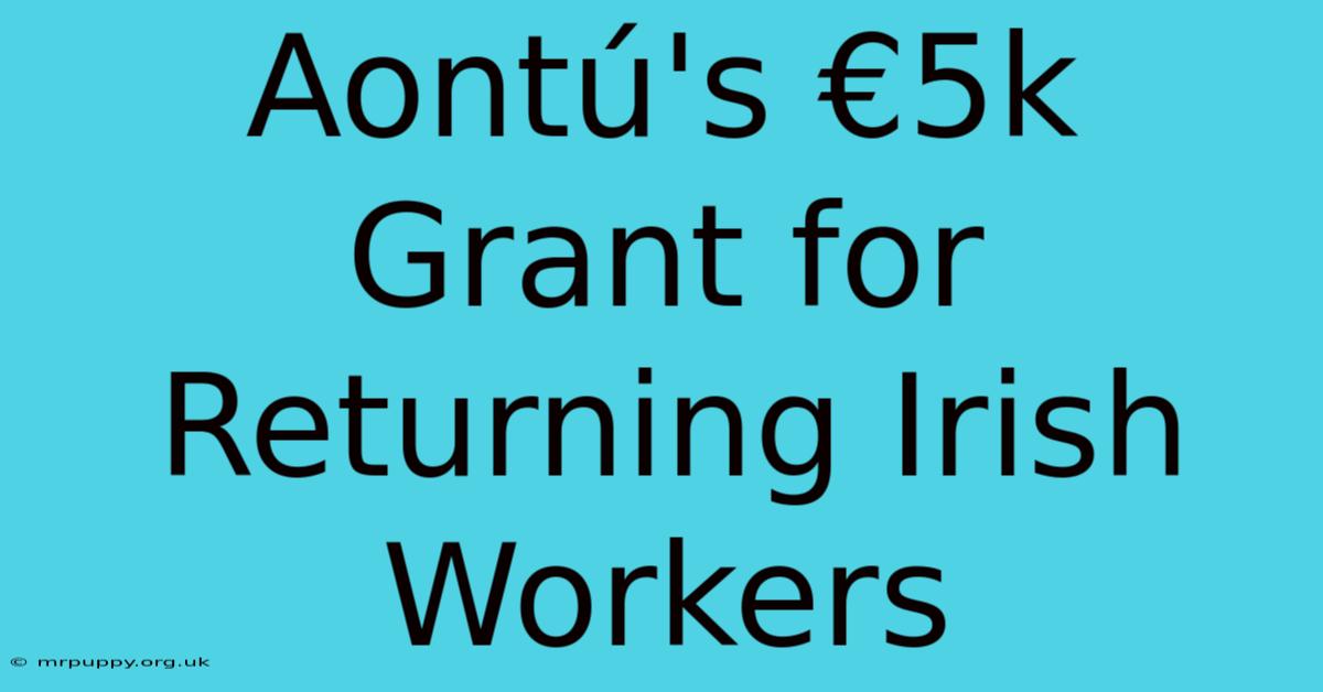 Aontú's €5k Grant For Returning Irish Workers