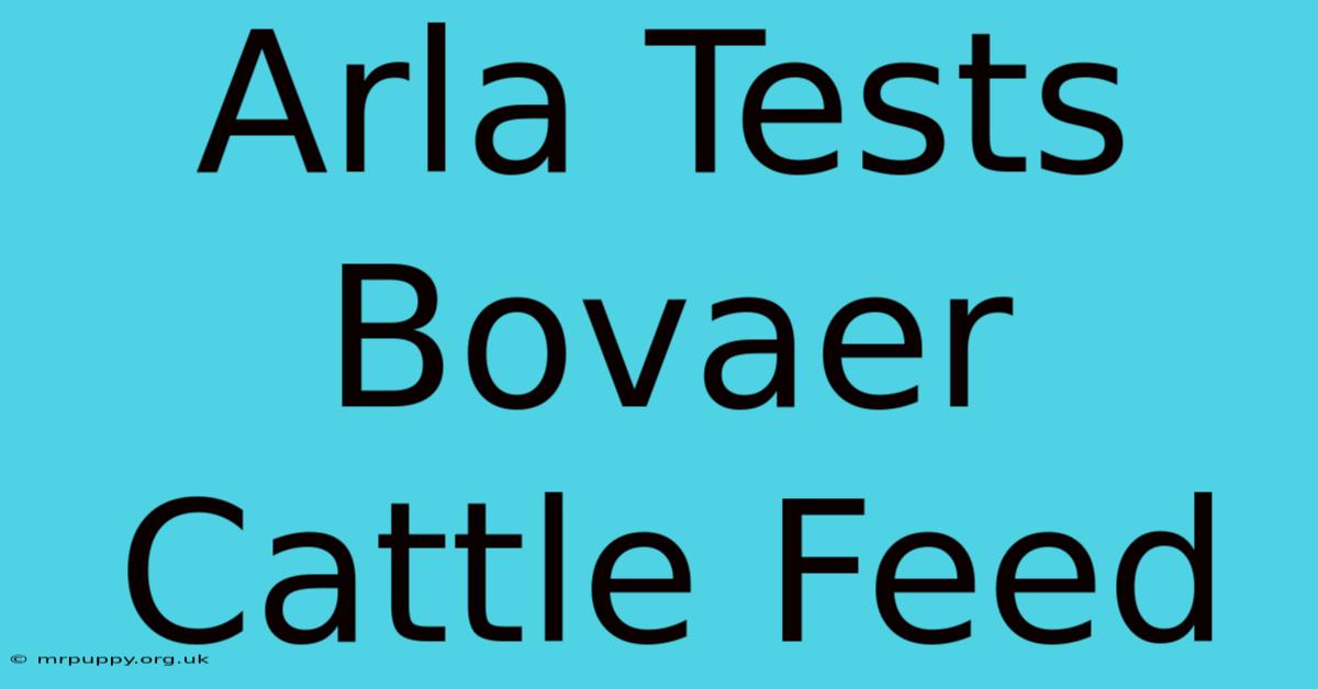 Arla Tests Bovaer Cattle Feed