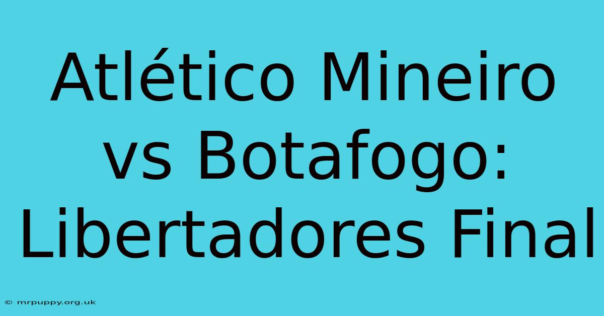 Atlético Mineiro Vs Botafogo: Libertadores Final