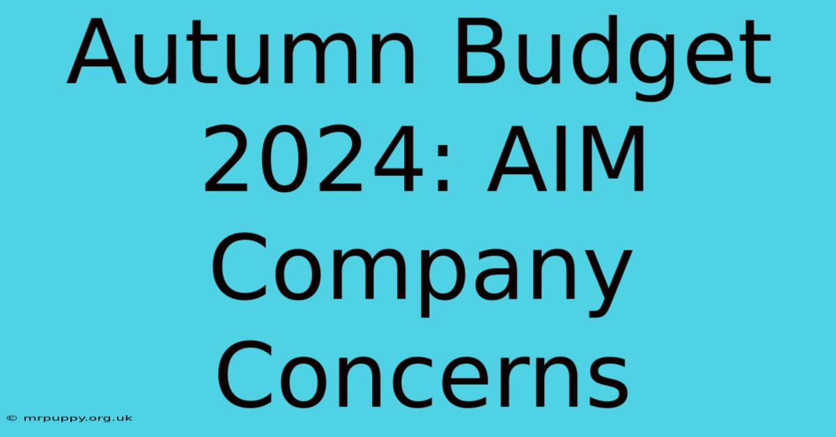 Autumn Budget 2024: AIM Company Concerns 