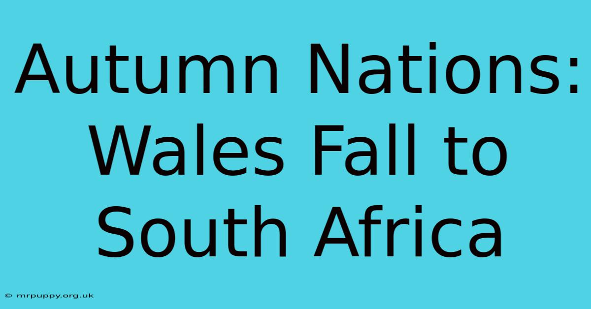 Autumn Nations: Wales Fall To South Africa