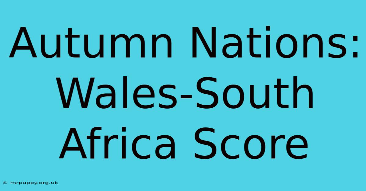 Autumn Nations: Wales-South Africa Score