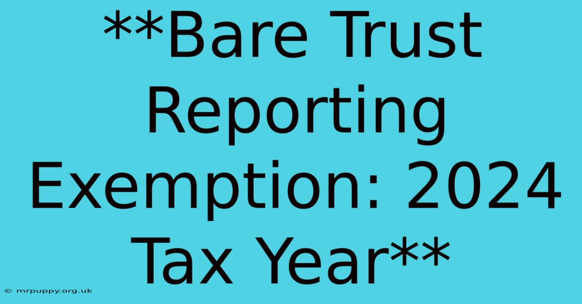 **Bare Trust Reporting Exemption: 2024 Tax Year**