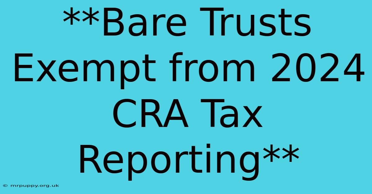 **Bare Trusts Exempt From 2024 CRA Tax Reporting**