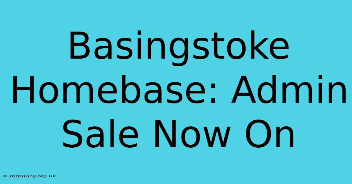 Basingstoke Homebase: Admin Sale Now On