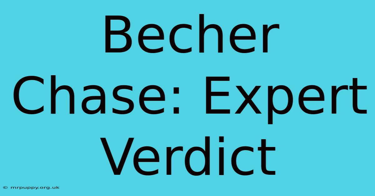 Becher Chase: Expert Verdict