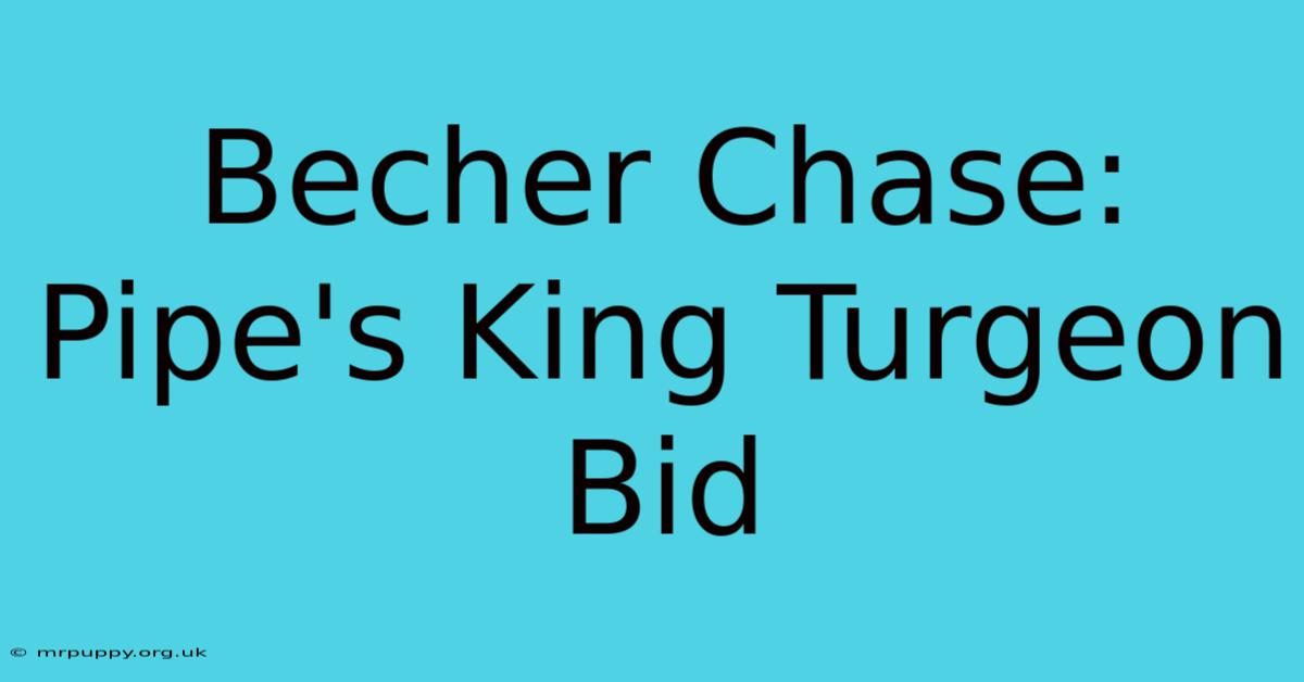 Becher Chase: Pipe's King Turgeon Bid