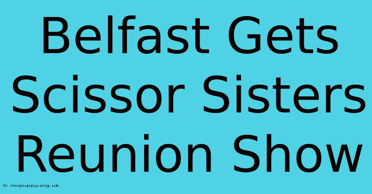 Belfast Gets Scissor Sisters Reunion Show