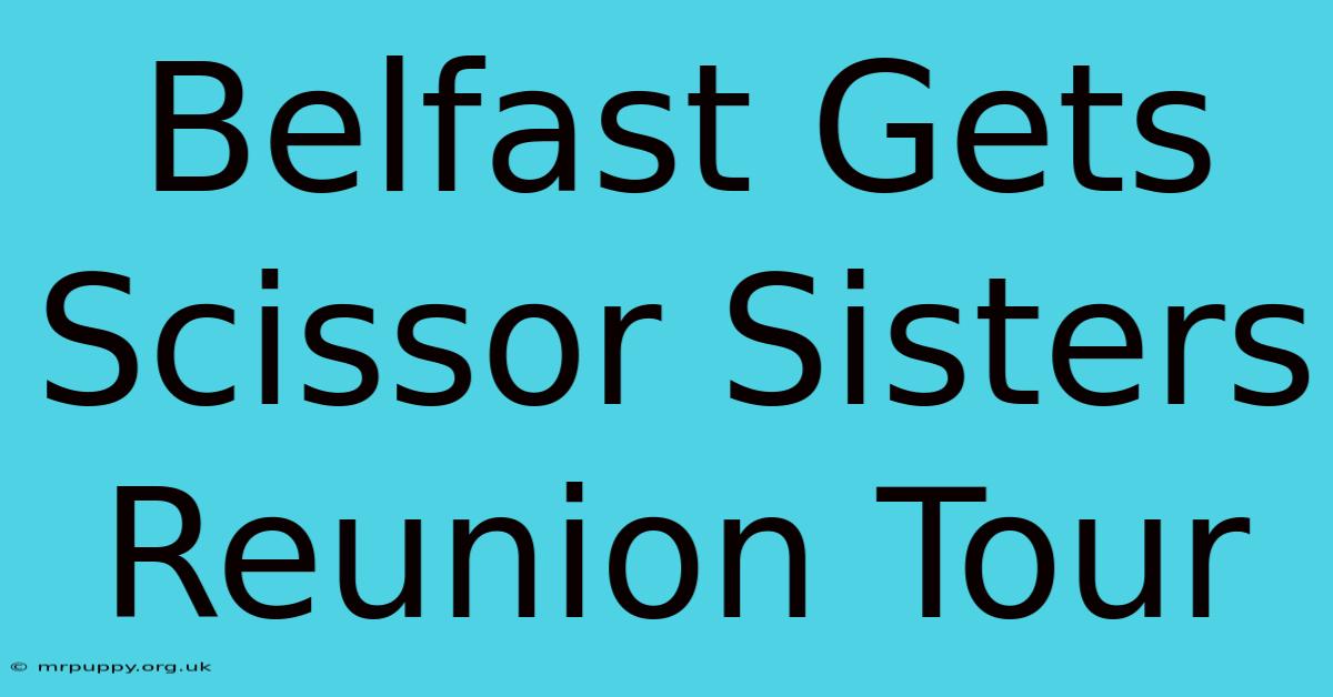 Belfast Gets Scissor Sisters Reunion Tour