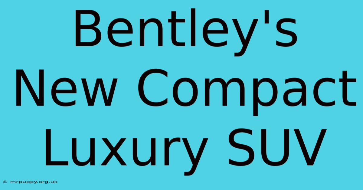 Bentley's New Compact Luxury SUV