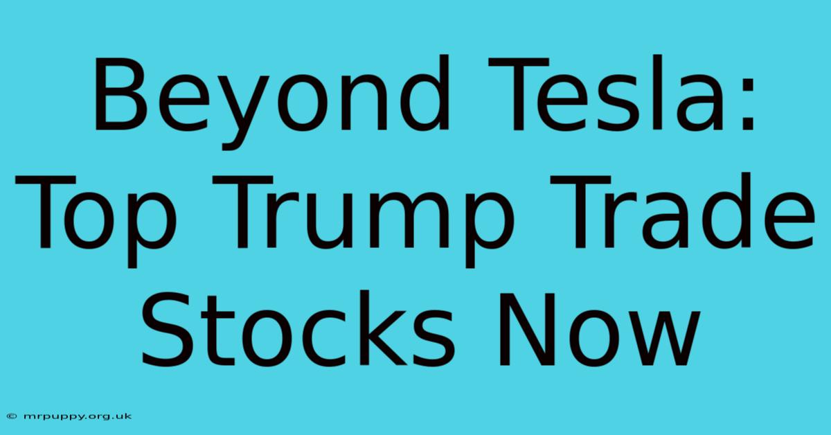 Beyond Tesla: Top Trump Trade Stocks Now