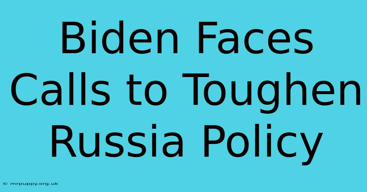 Biden Faces Calls To Toughen Russia Policy