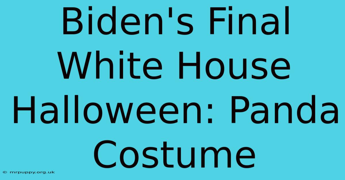 Biden's Final White House Halloween: Panda Costume