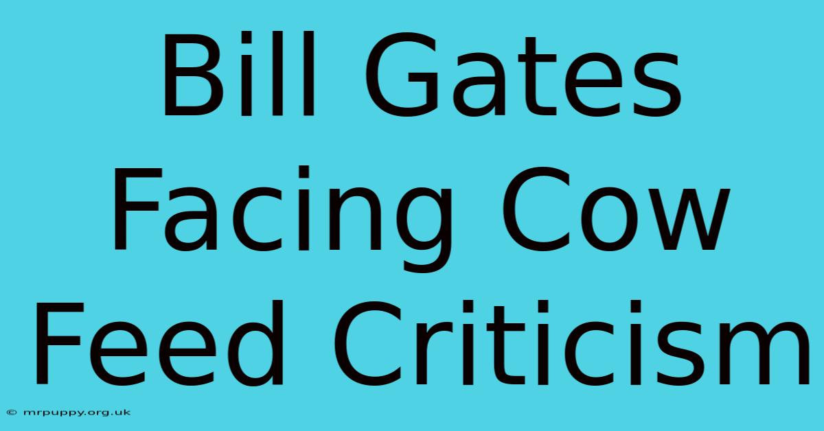 Bill Gates Facing Cow Feed Criticism