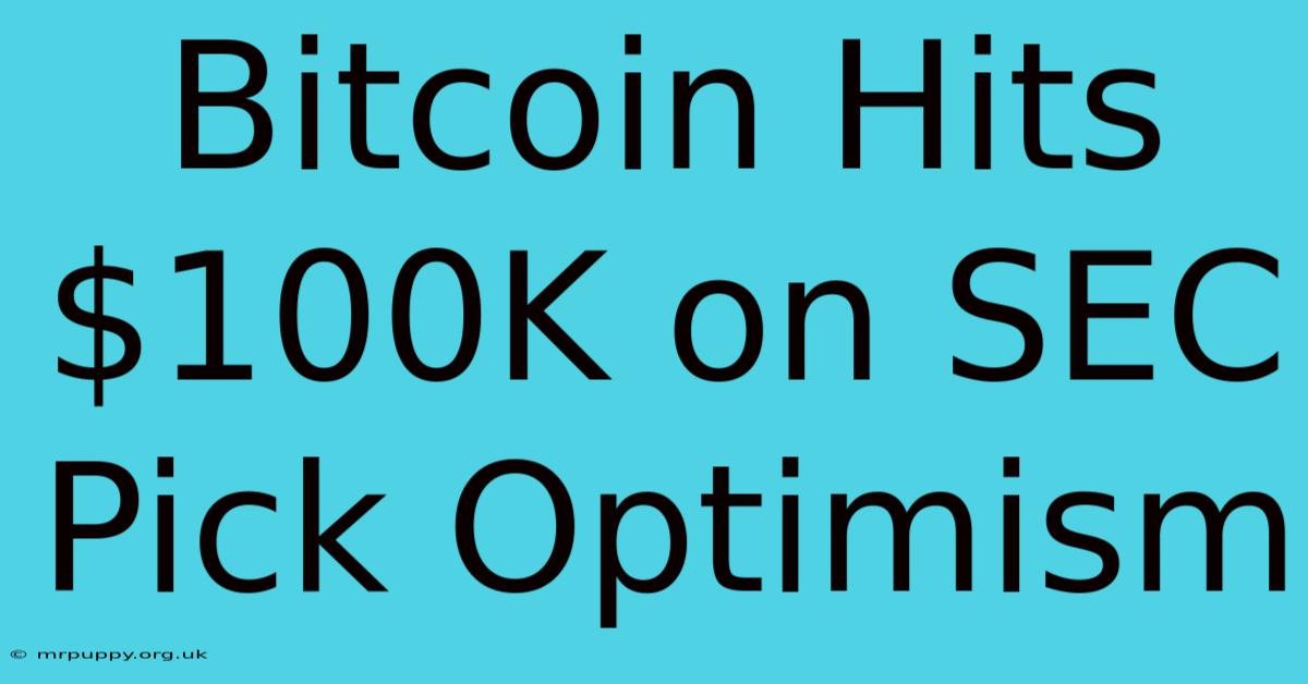 Bitcoin Hits $100K On SEC Pick Optimism