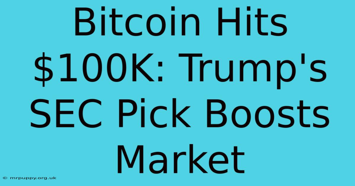 Bitcoin Hits $100K: Trump's SEC Pick Boosts Market