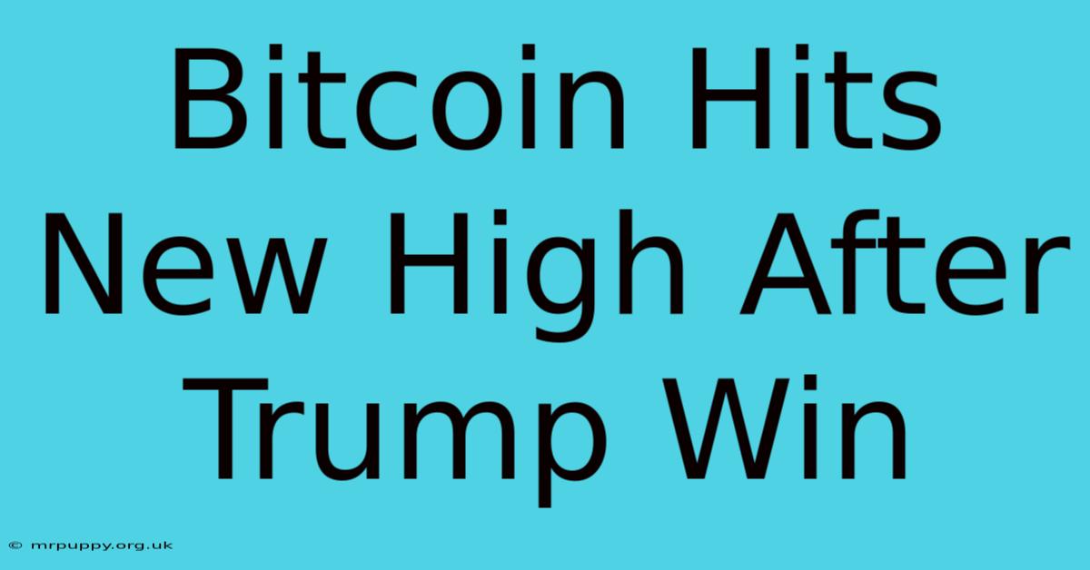 Bitcoin Hits New High After Trump Win