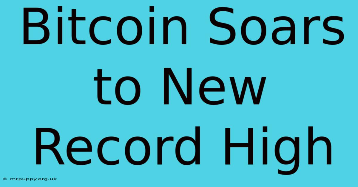 Bitcoin Soars To New Record High