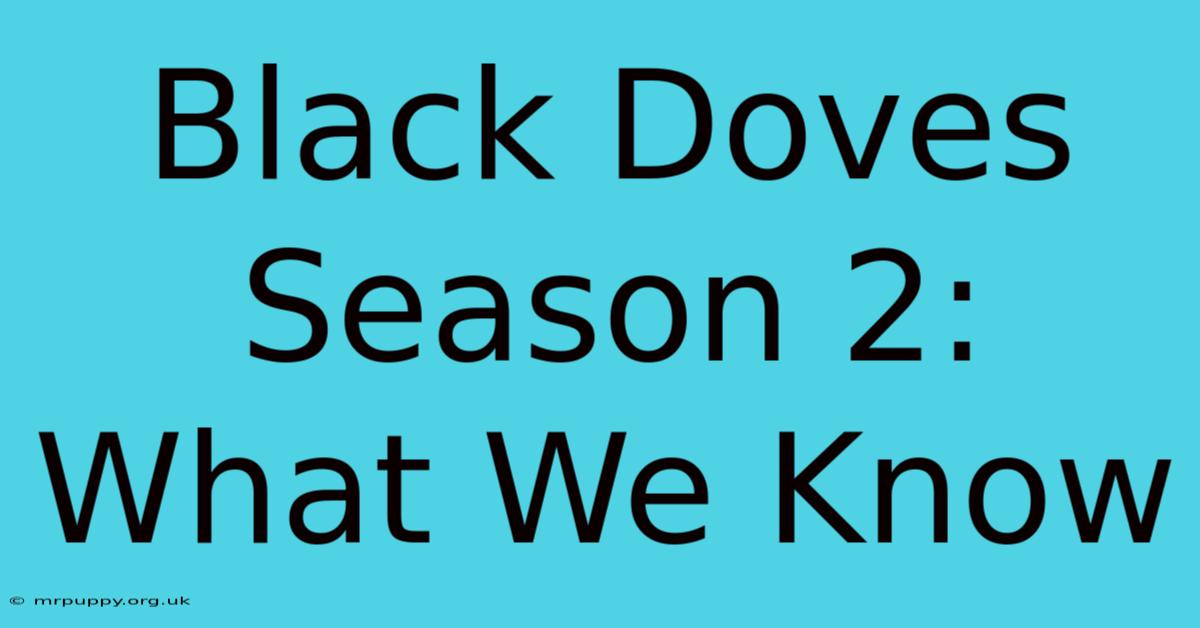 Black Doves Season 2: What We Know