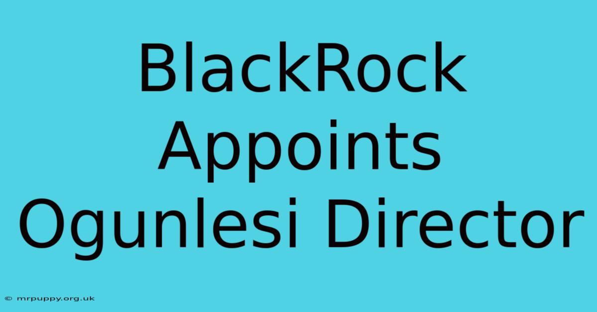 BlackRock Appoints Ogunlesi Director