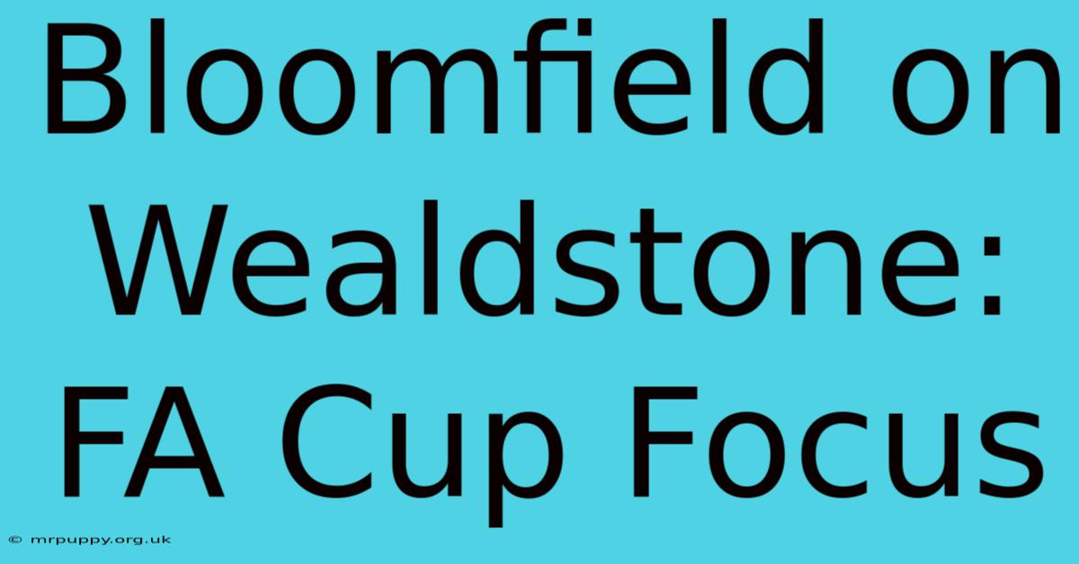 Bloomfield On Wealdstone: FA Cup Focus