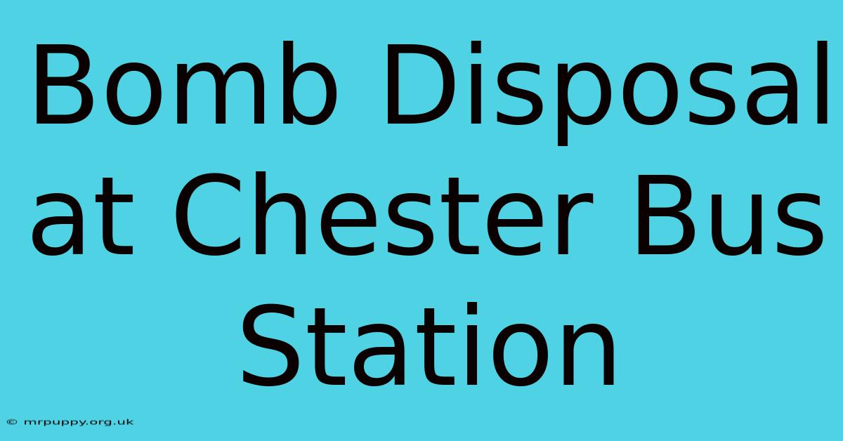 Bomb Disposal At Chester Bus Station