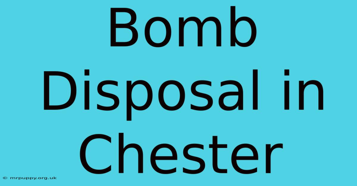 Bomb Disposal In Chester