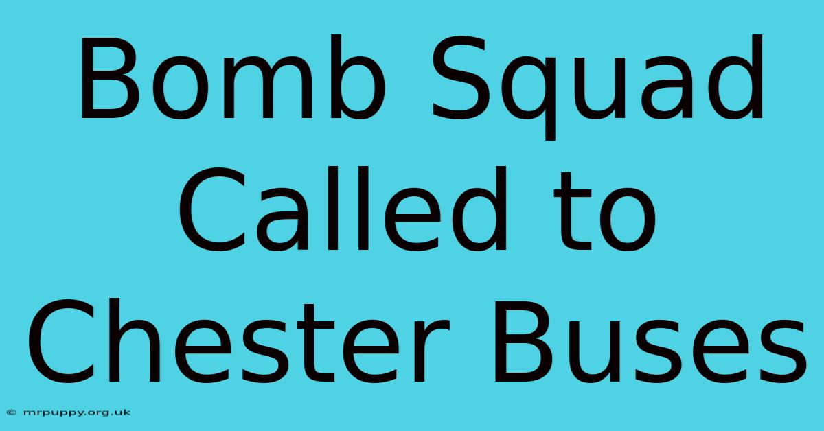 Bomb Squad Called To Chester Buses