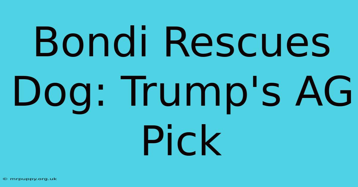 Bondi Rescues Dog: Trump's AG Pick