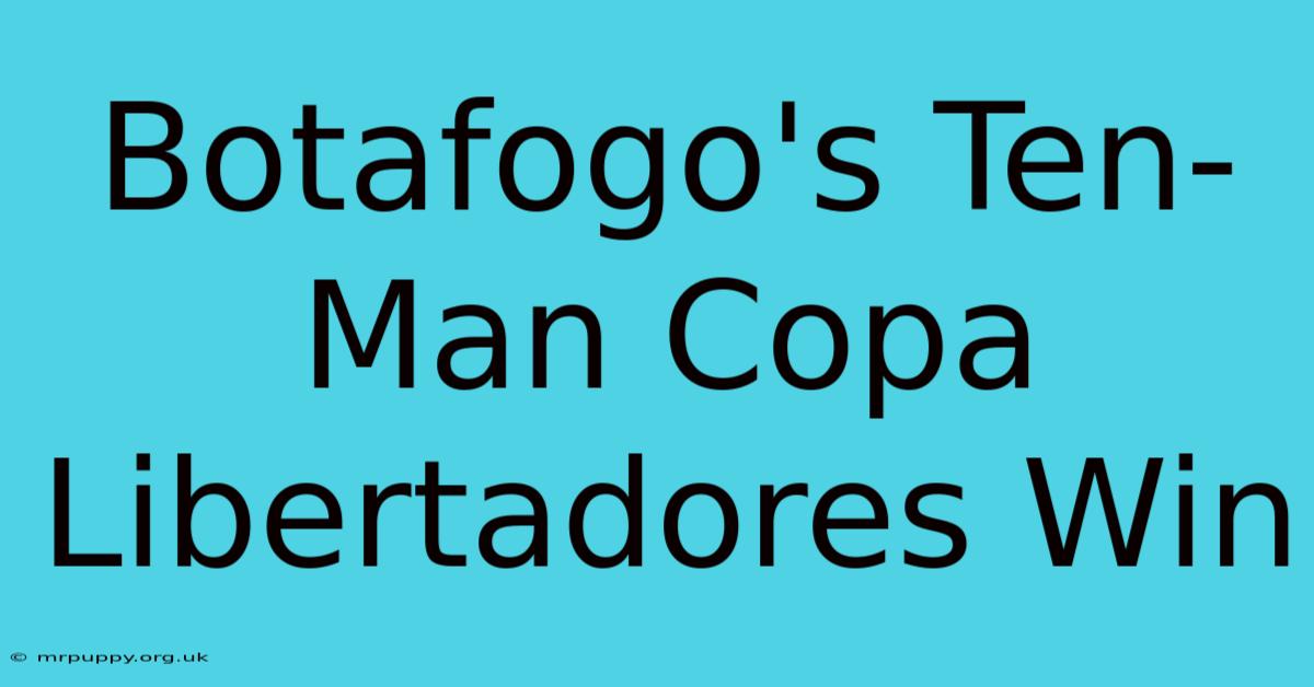 Botafogo's Ten-Man Copa Libertadores Win