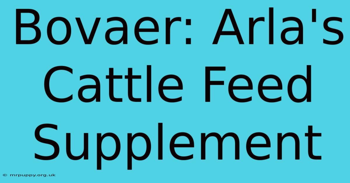 Bovaer: Arla's Cattle Feed Supplement