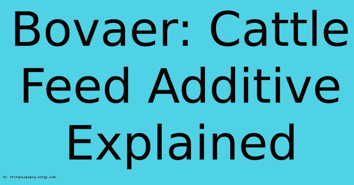 Bovaer: Cattle Feed Additive Explained