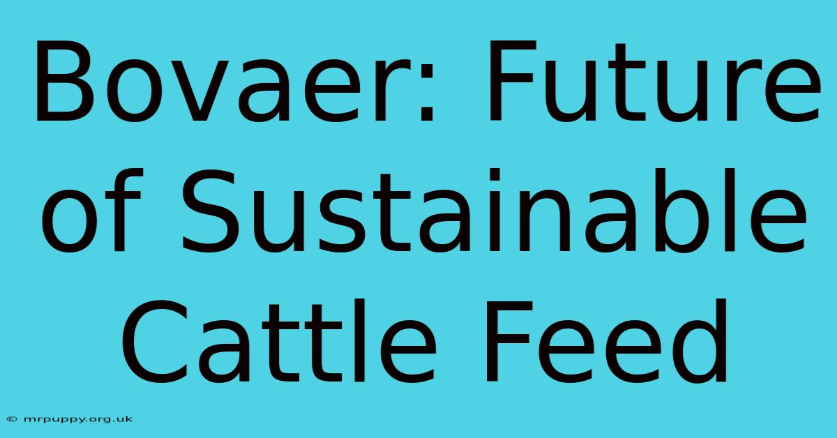 Bovaer: Future Of Sustainable Cattle Feed